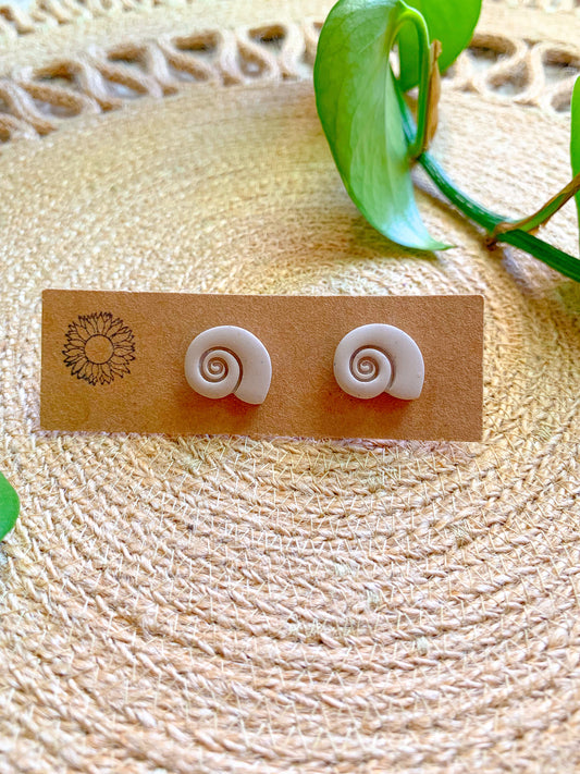Seashell Studs