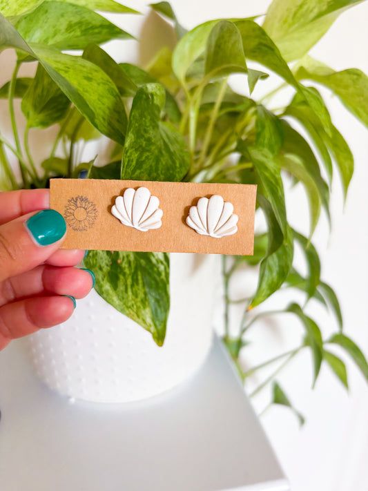 Seashell Studs